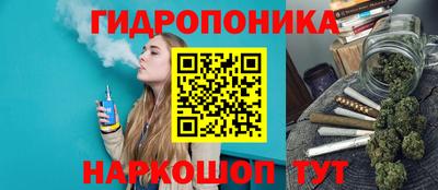 соль ск Пушкино