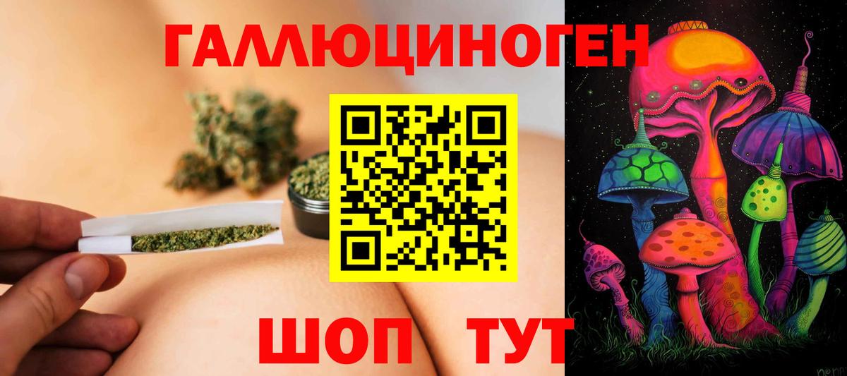 Сухой Лог  Псилоцибиновые грибы Psilocybe  Вход с VPN 
